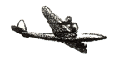 Airplane