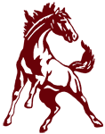 Mustang Horse